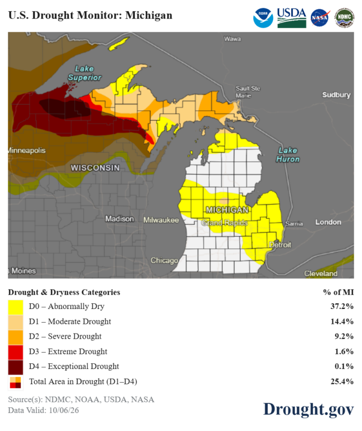 Upper Peninsula fire risk is high - Daily Press